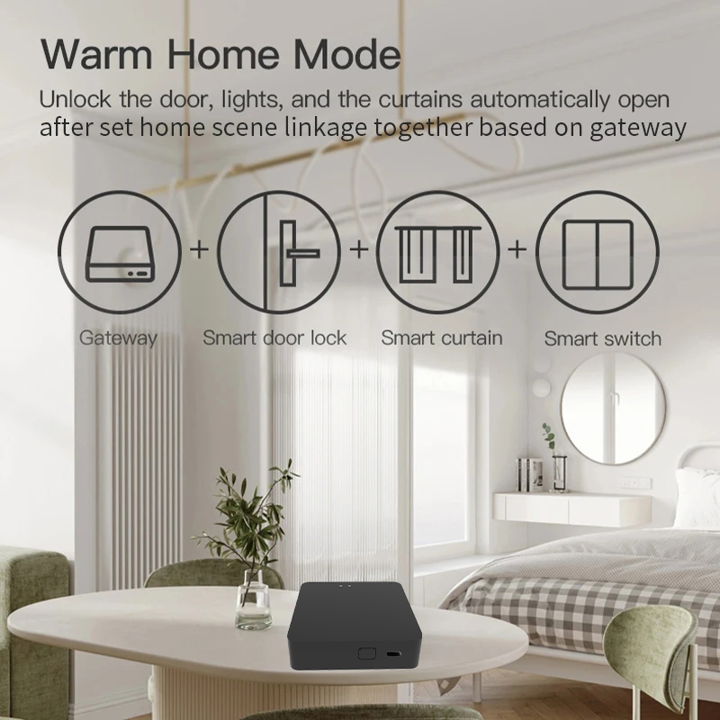 Work with Tuya Smart Zigbee+ B - đánh giá và giá Diy Home Automation Hub